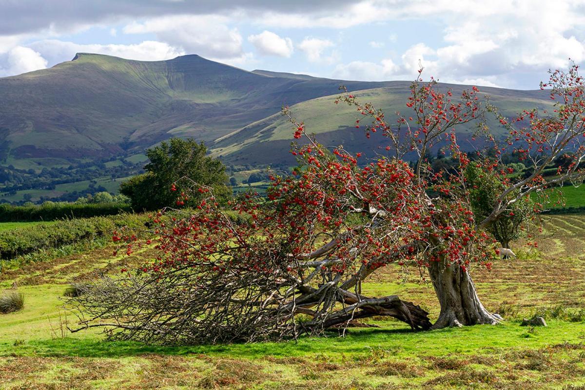 Picturesque 2 Bedroom Miners Cottage Near Bike Park Wales & Brecon Beacons Merthyr Tydfil Luaran gambar